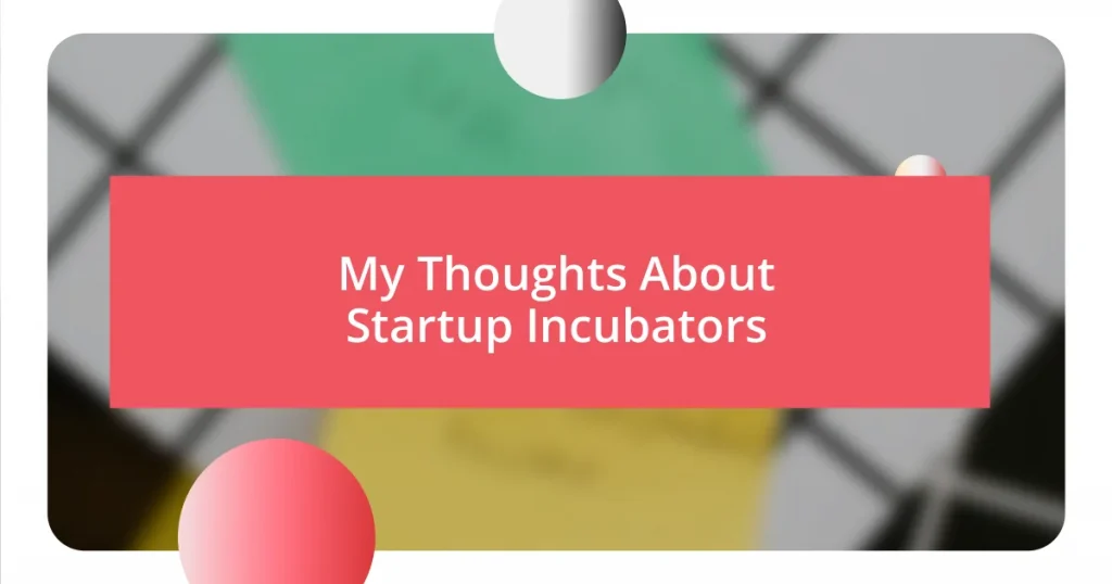 My Thoughts About Startup Incubators